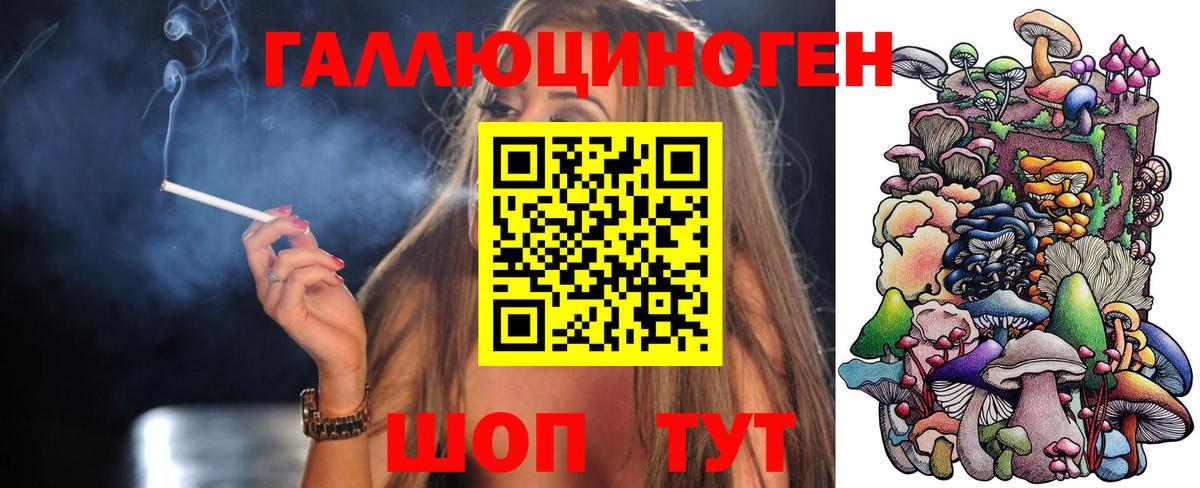 как найти закладки  Псилоцибиновые грибы Psilocybine cubensis  Вход с VPN  Дзержинск 