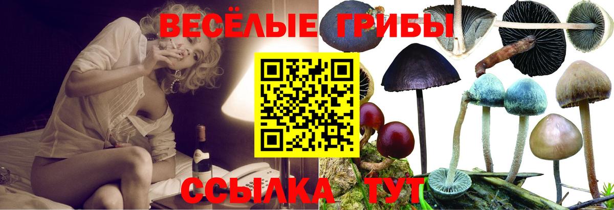 Галлюциногенные грибы GOLDEN TEACHER Дзержинск